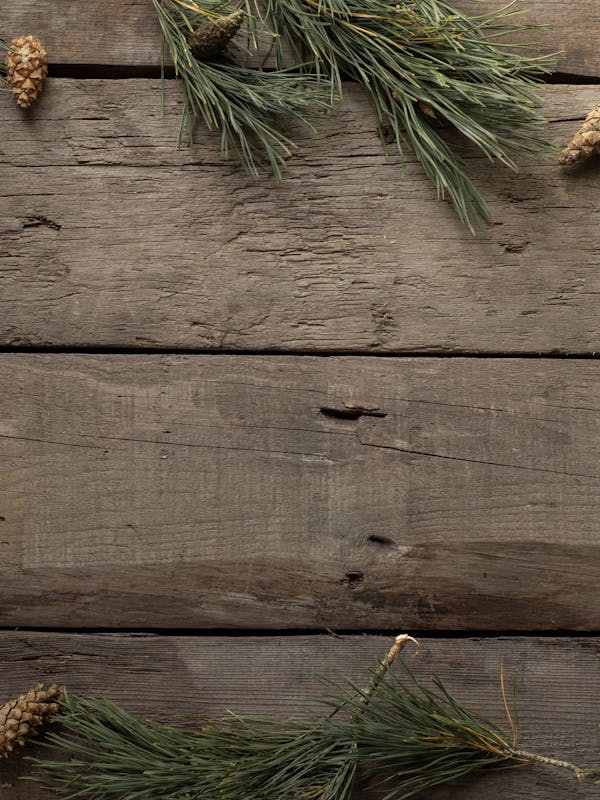 Glamorgan Stripe Shirt